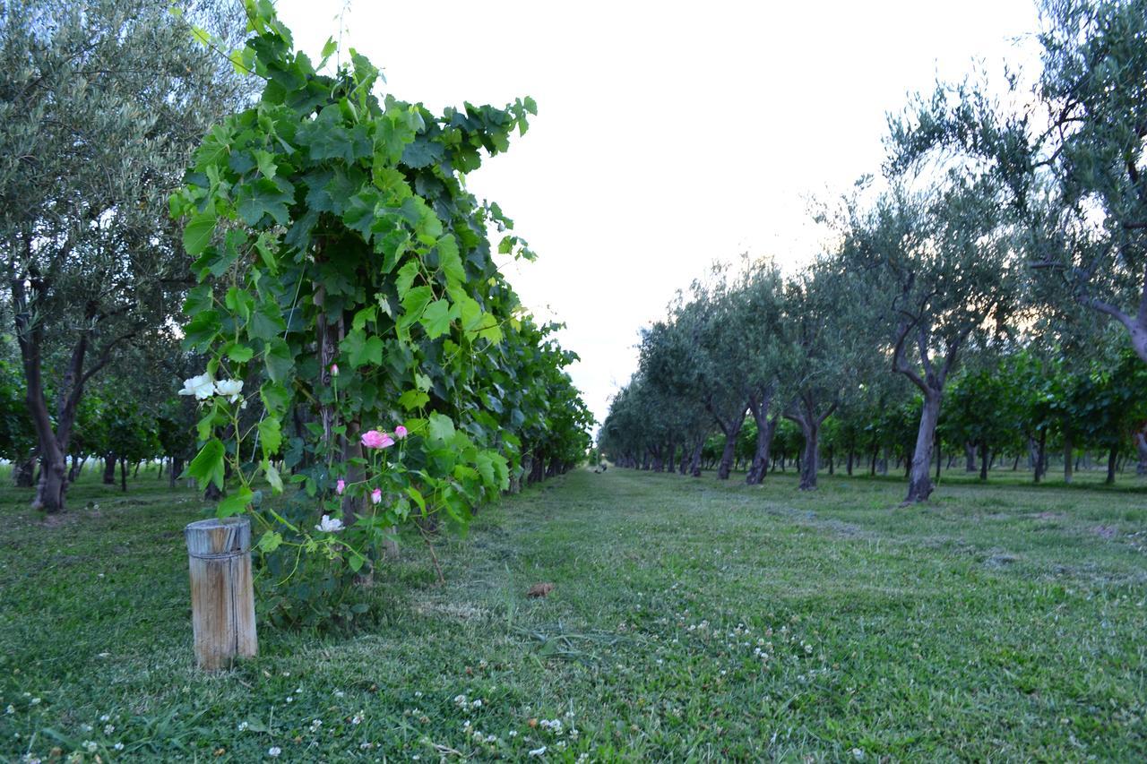 Finca Fisterra Maipú Eksteriør bilde