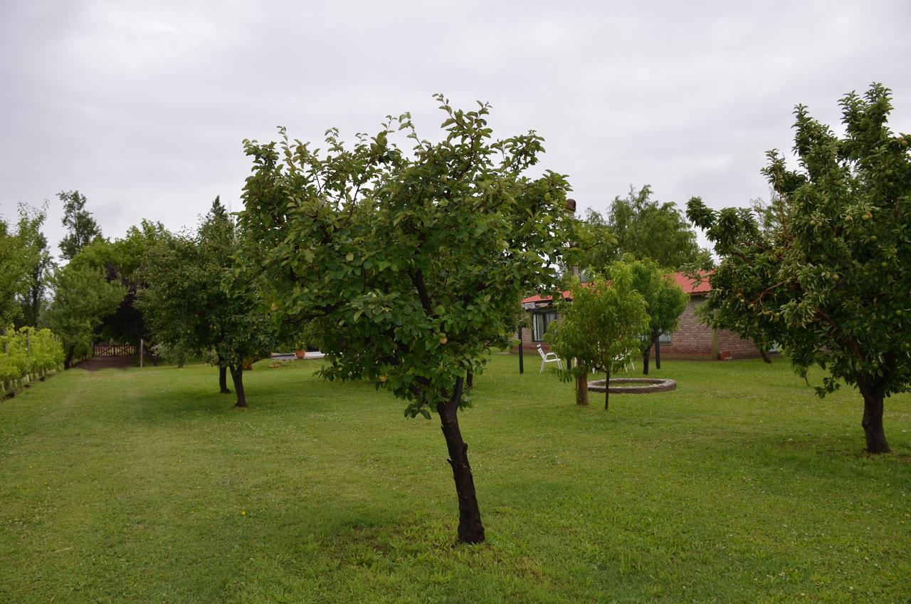 Finca Fisterra Maipú Eksteriør bilde