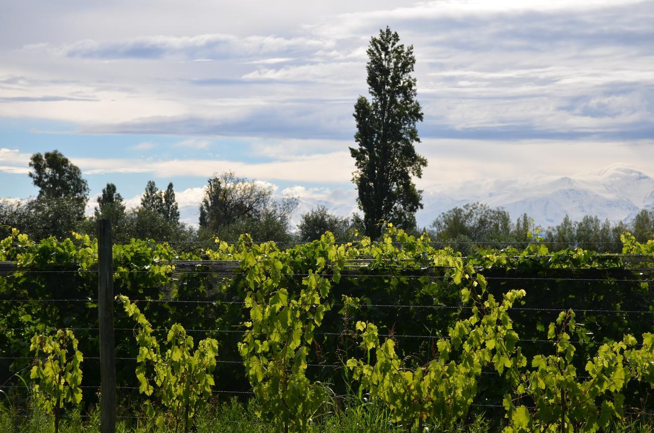 Finca Fisterra Maipú Eksteriør bilde