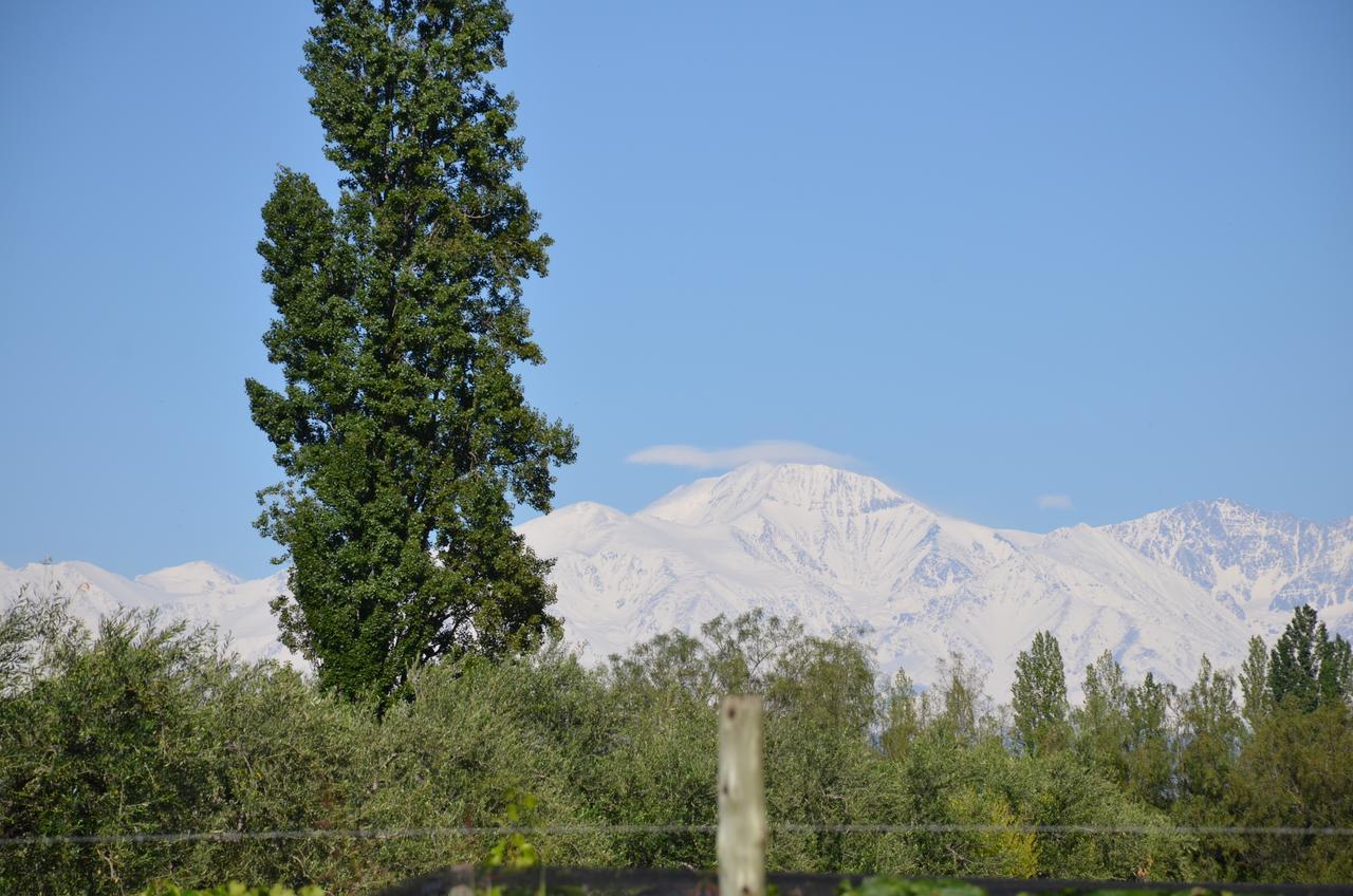 Finca Fisterra Maipú Eksteriør bilde