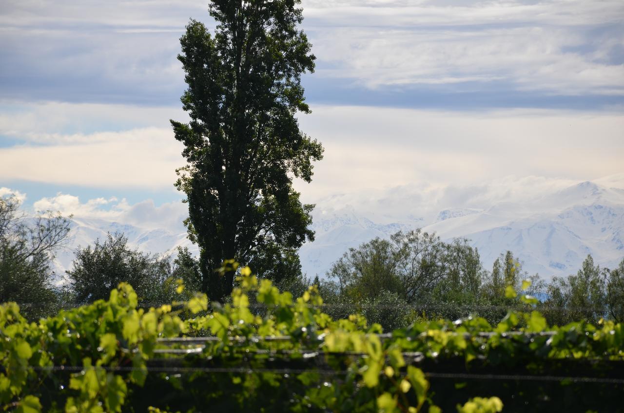 Finca Fisterra Maipú Eksteriør bilde