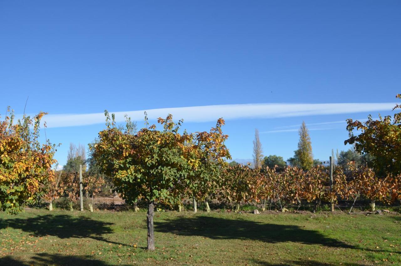 Finca Fisterra Maipú Eksteriør bilde