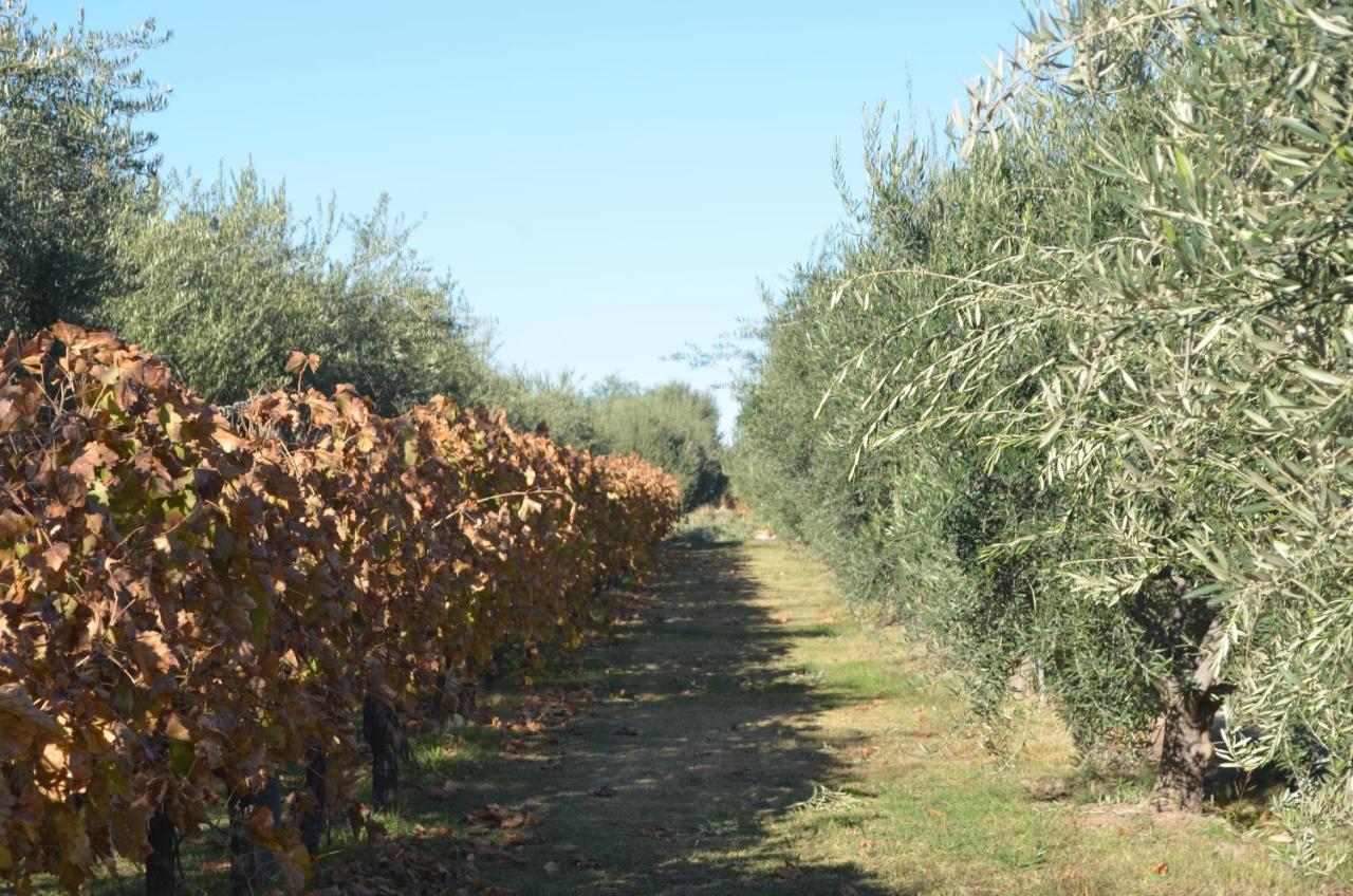 Finca Fisterra Maipú Eksteriør bilde