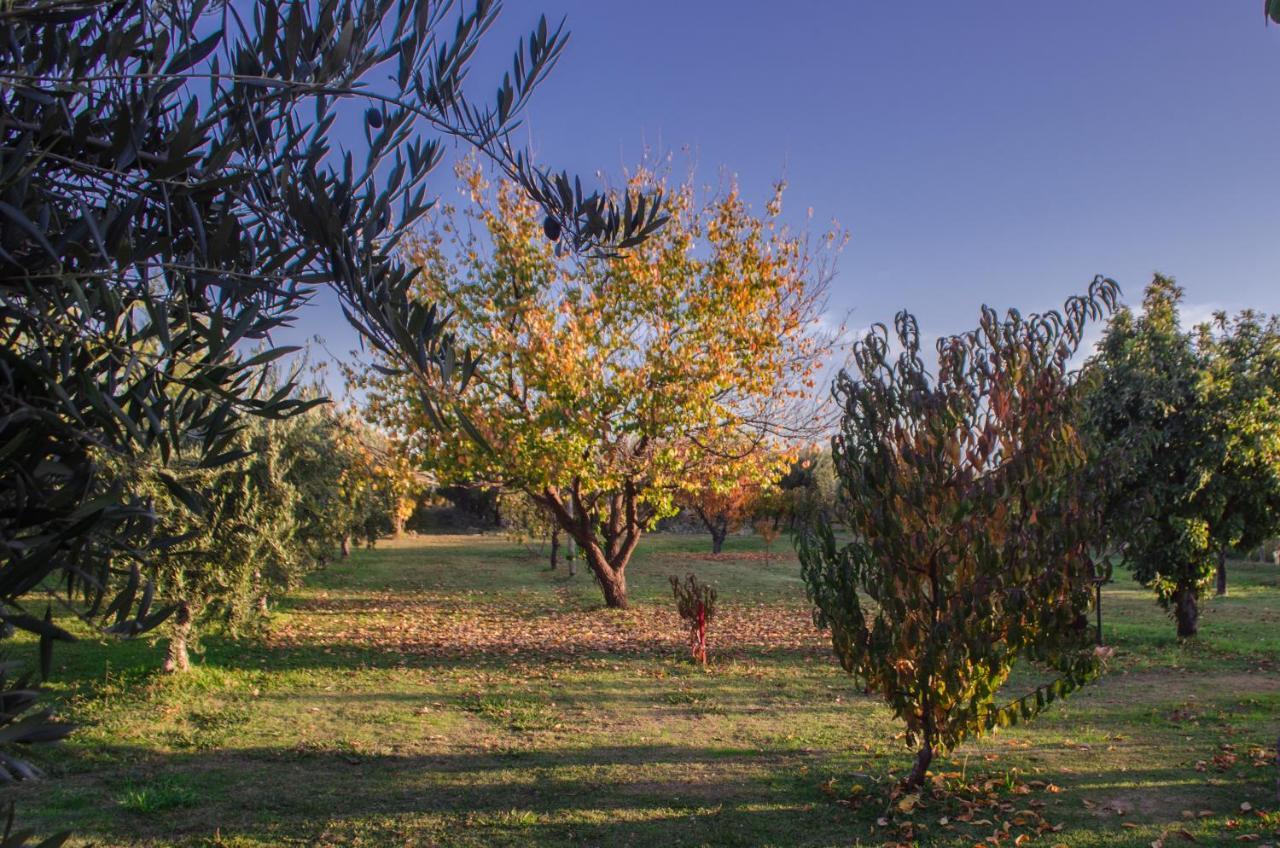 Finca Fisterra Maipú Eksteriør bilde