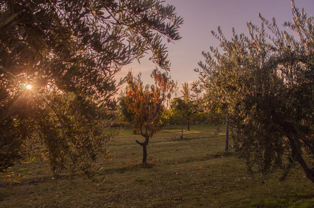 Finca Fisterra Maipú Eksteriør bilde