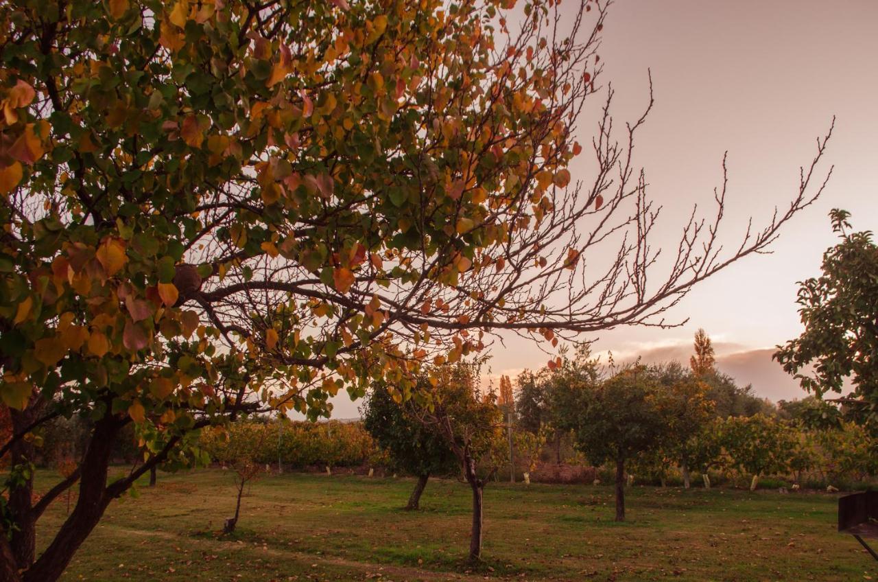 Finca Fisterra Maipú Eksteriør bilde